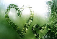 DB彩票官网-法国队横扫印尼队，戴资颖点燃赛场