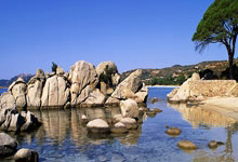 DB彩票官网-法国队横扫印尼队，戴资颖点燃赛场