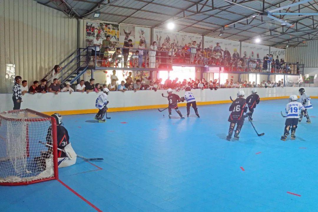 赛场精彩对决现场直播，神奇一幕连连发生