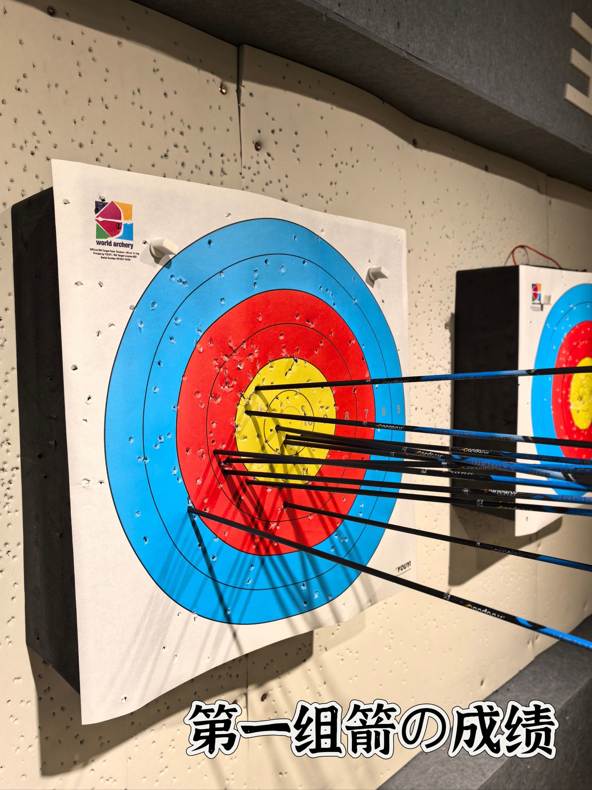 瑞典选手在射箭比赛中展现出色准心