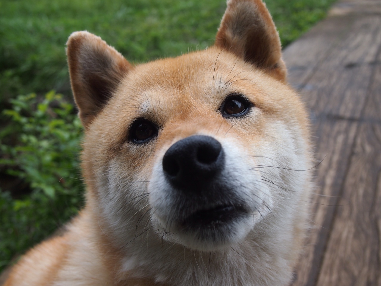 毕尔巴鄂强势晋级，恩佐于国家德比接管比赛，西甲新秩序的黎明